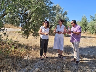 Lola Sagra a Dagmar Kublová v olivových hájích Nobleza del Sur v Andalusii